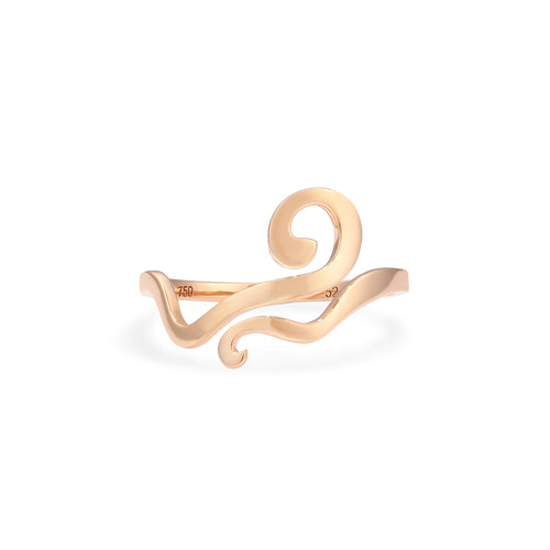 Ring Weave