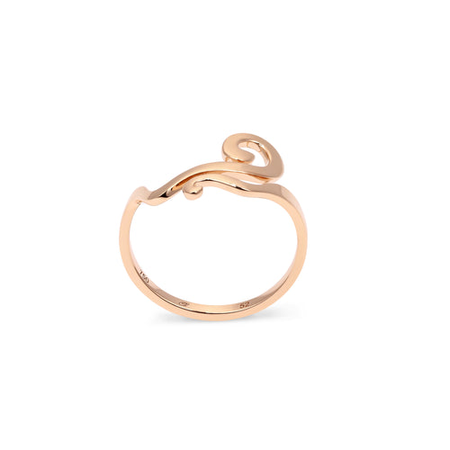 Ring Weave