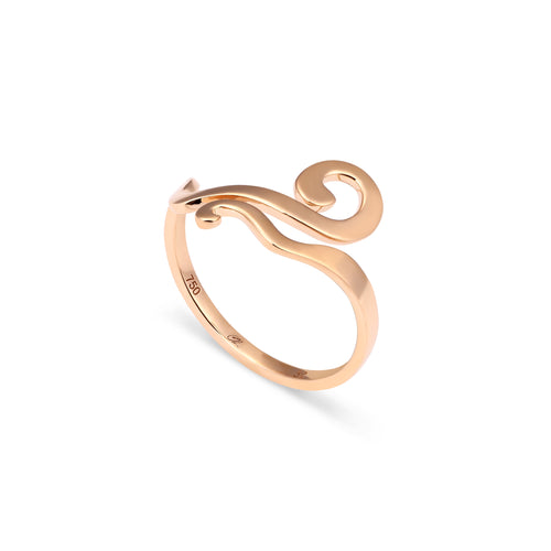 Ring Weave