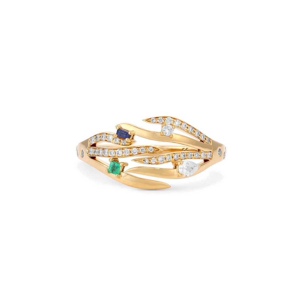 Ring Aurora