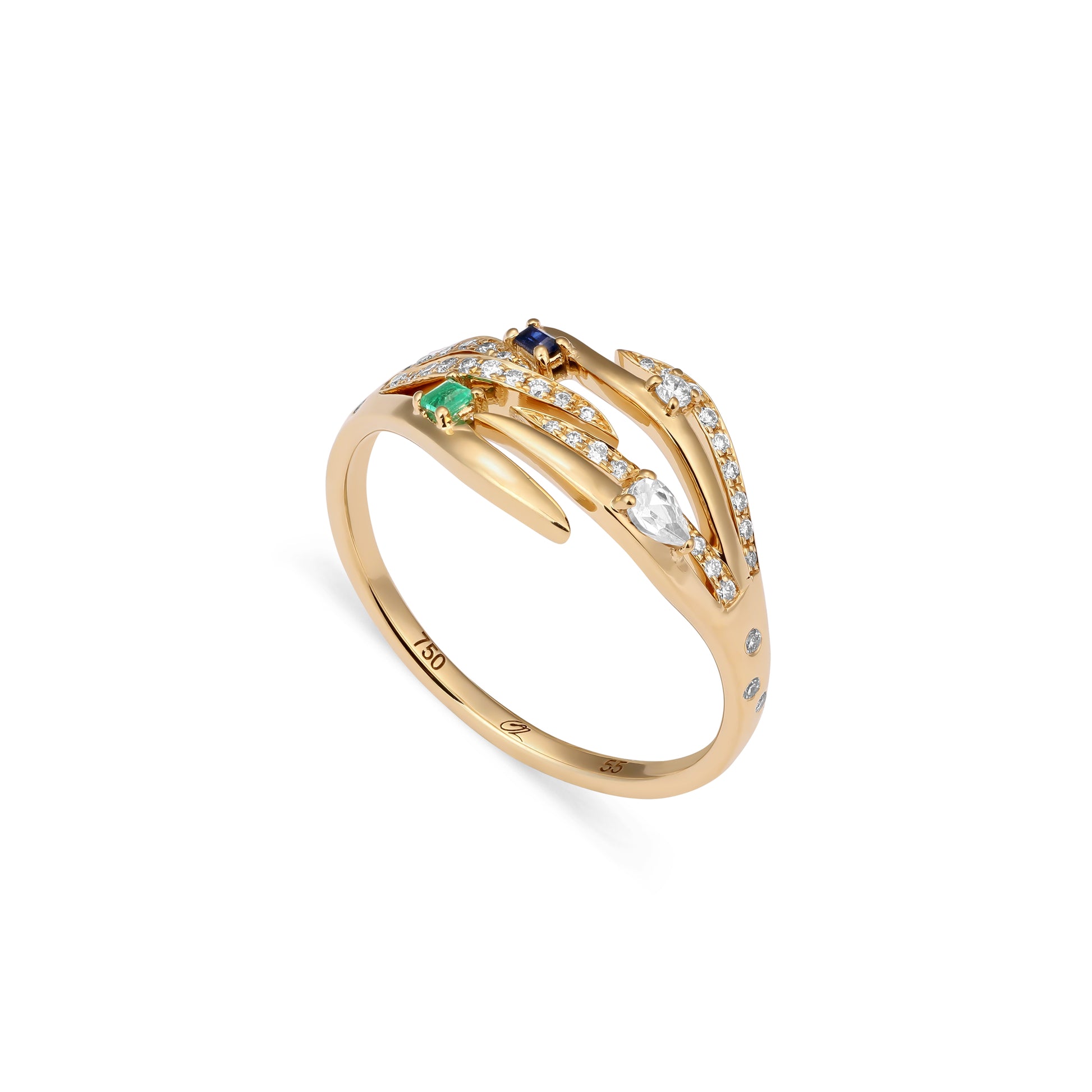 Ring Aurora