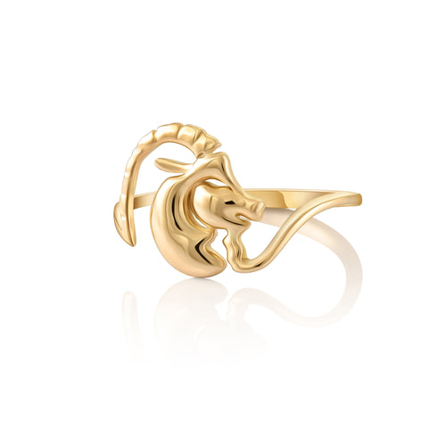 Ring Aries