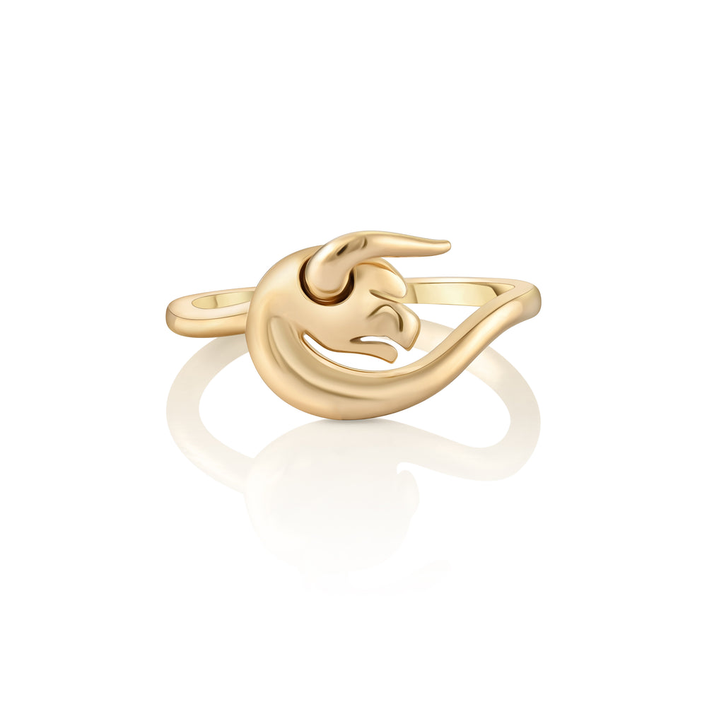 Ring Taurus