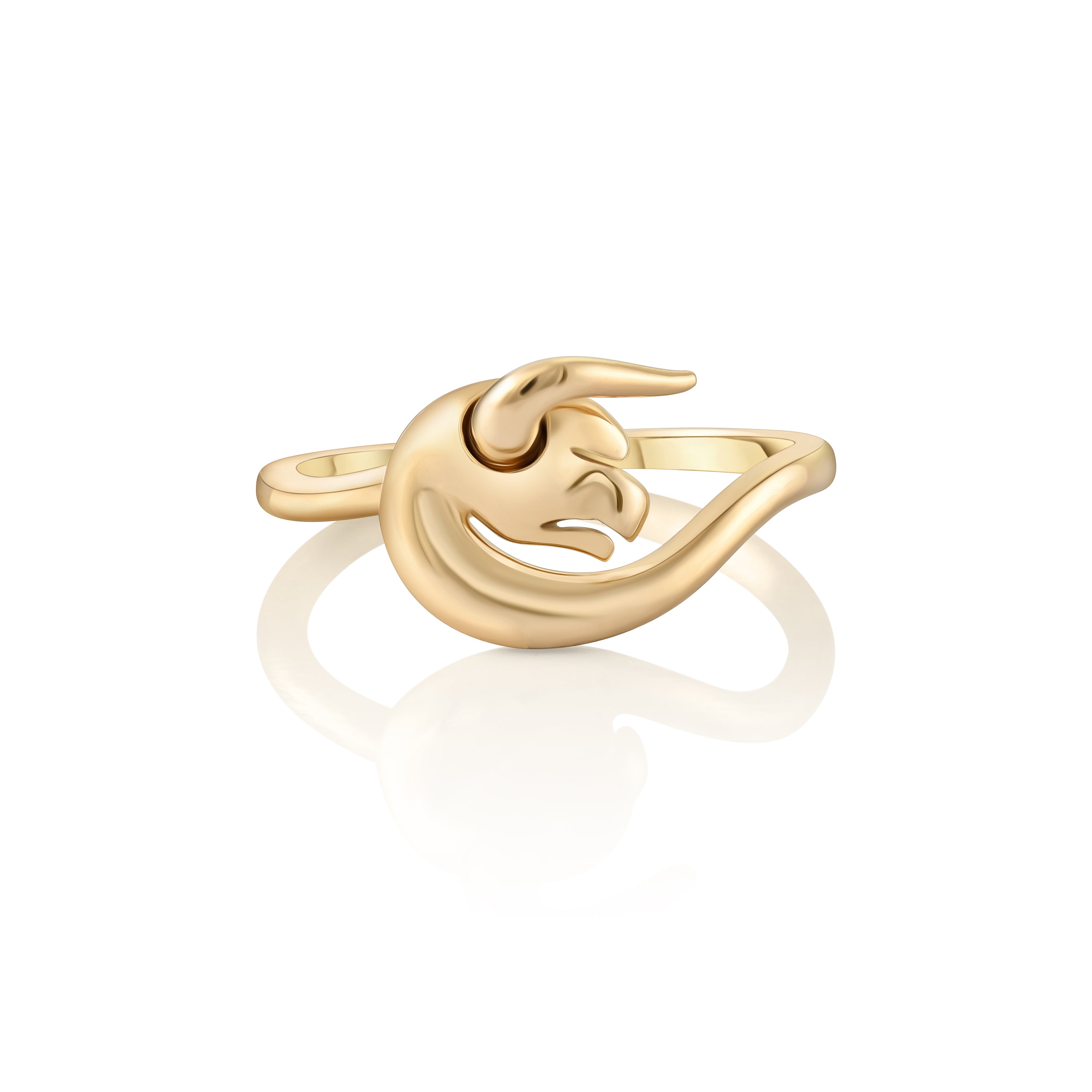 Ring Taurus
