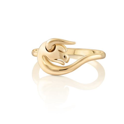 Ring Taurus