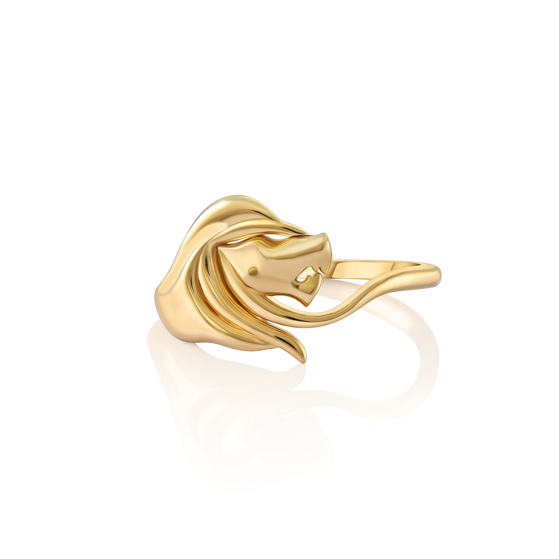 Ring Leo