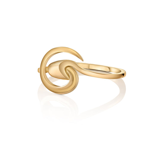 Ring Aquarius