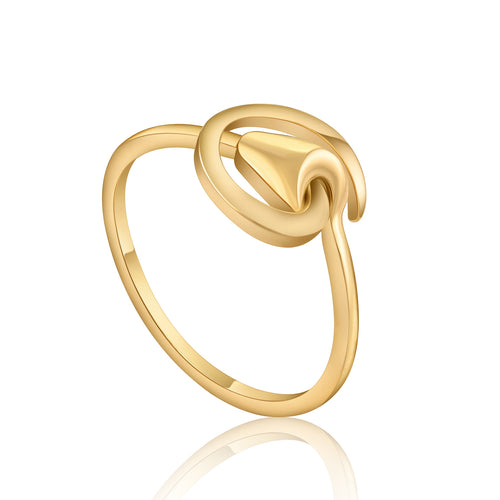 Ring Aquarius