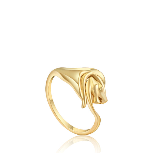 Ring Leo