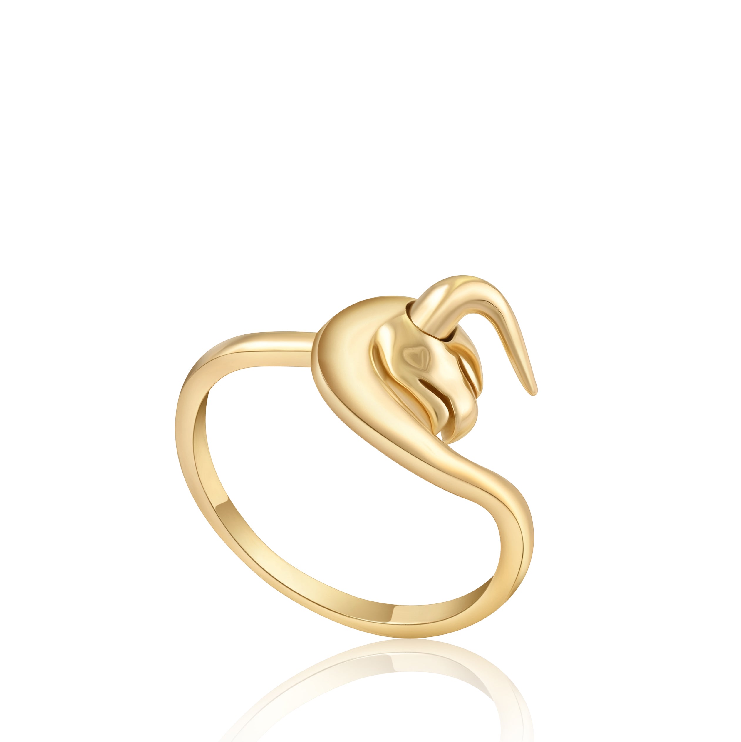Ring Taurus