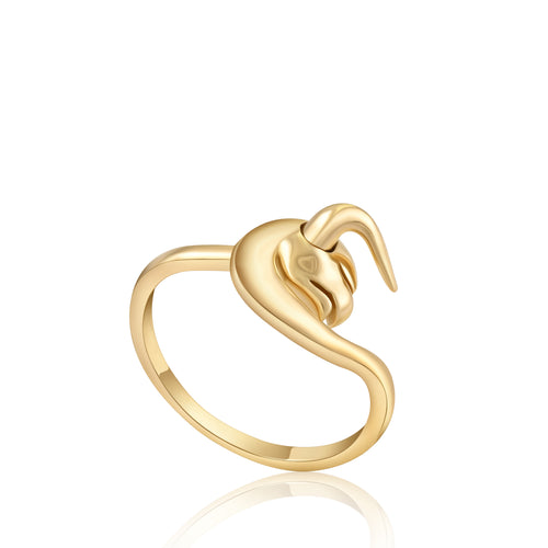 Ring Taurus