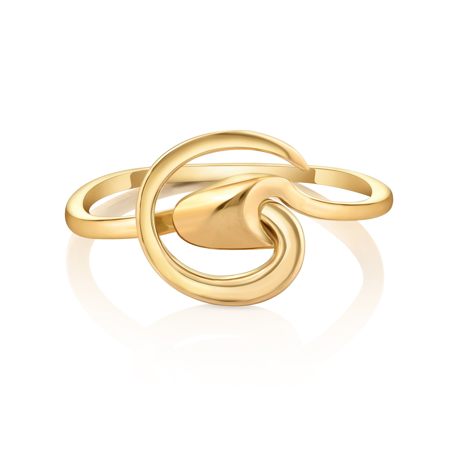 Ring Aquarius
