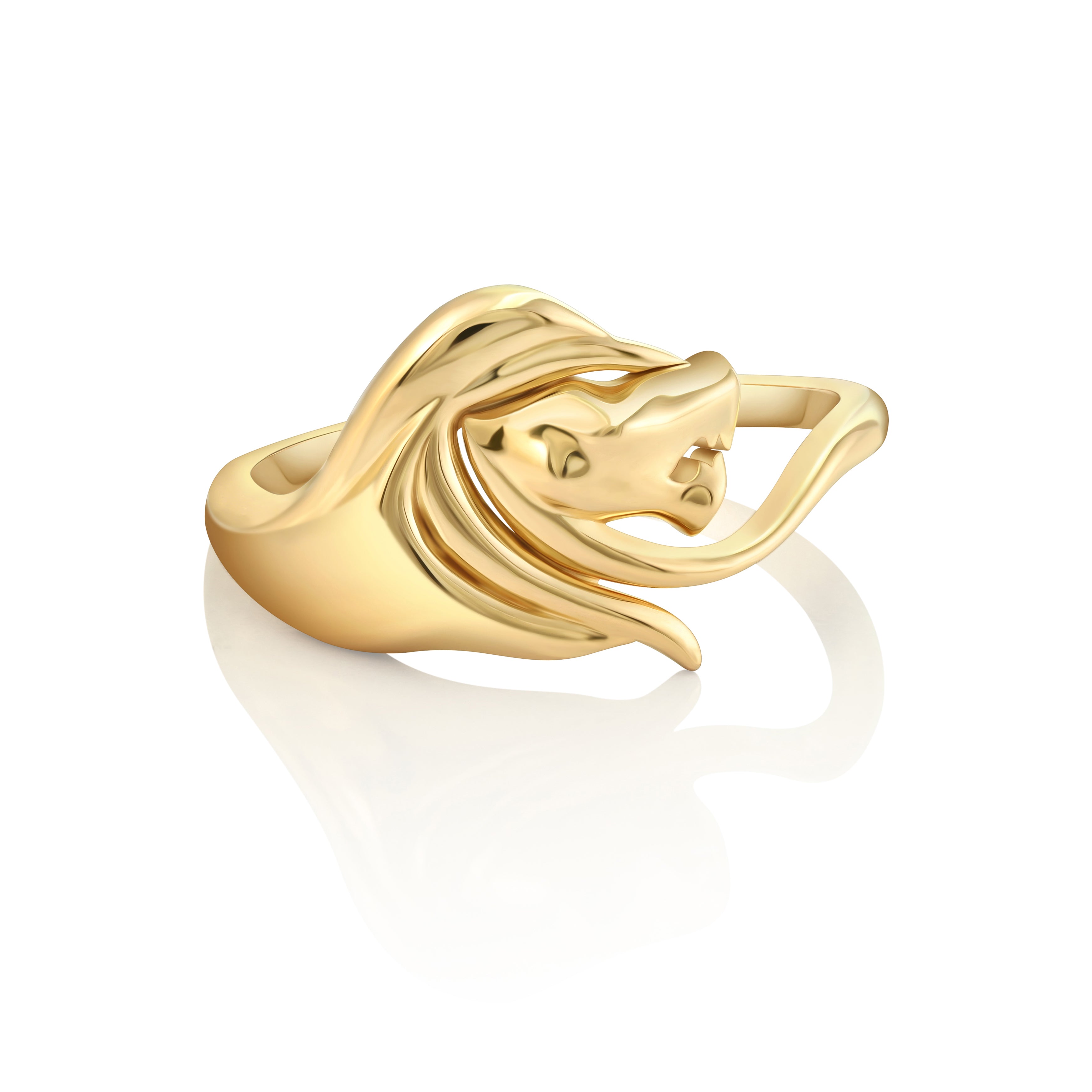 Ring Leo