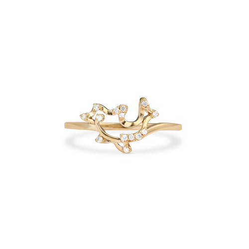 Ring Dolphin