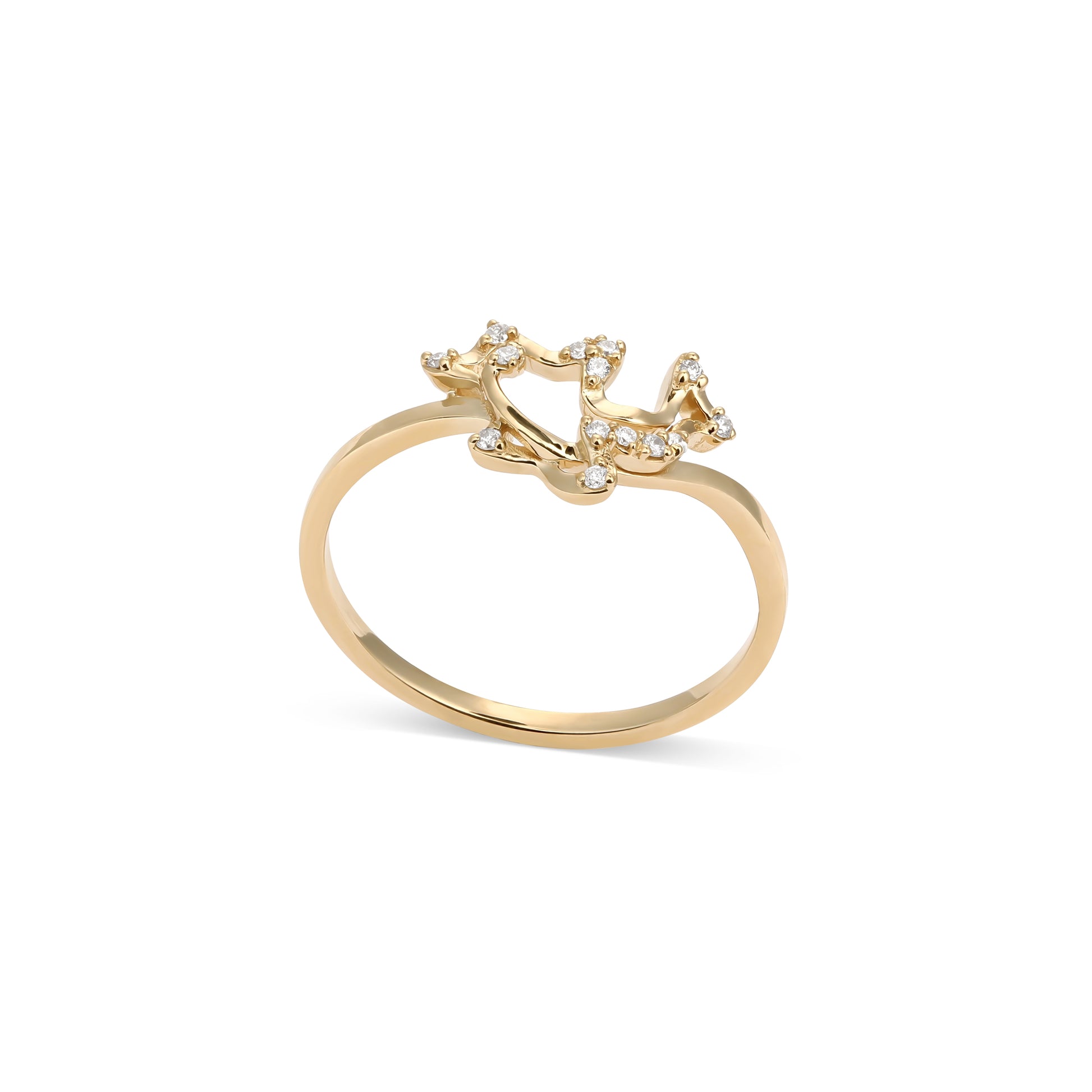 Ring Dolphin