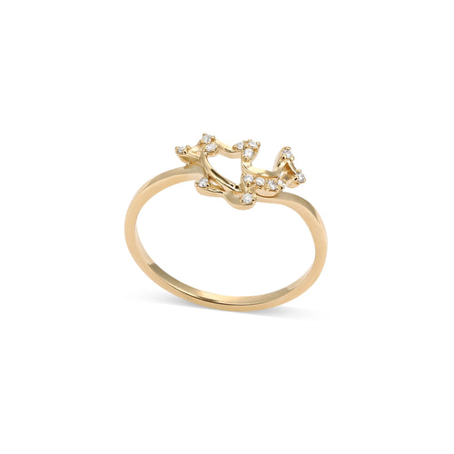 Ring Dolphin