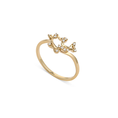 Ring Dolphin